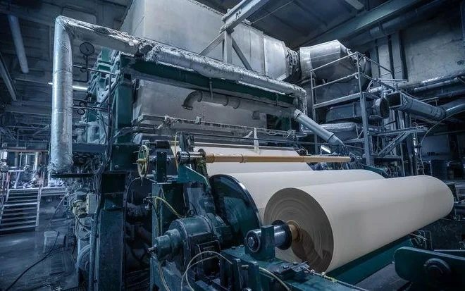 Papel e celulose